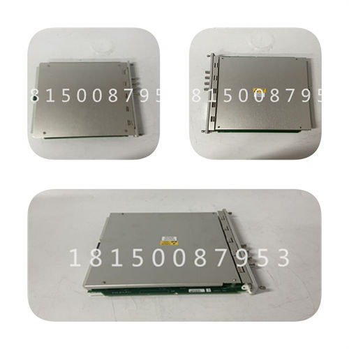 IB3110551 ELEMASTER 模塊