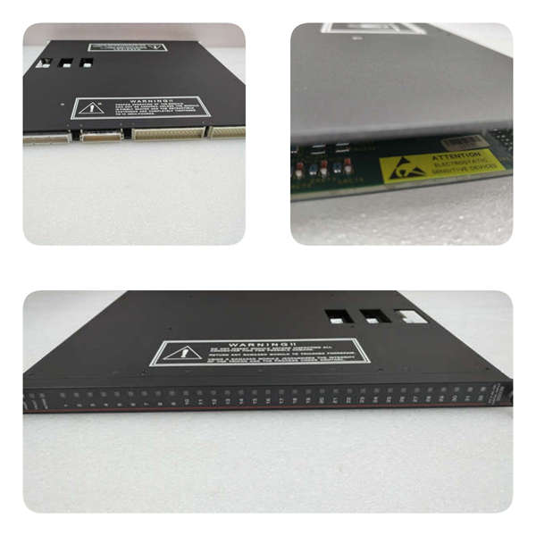 2401 TRICONEX 輸入輸出模塊