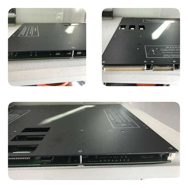 8312 TRICONEX   電源模塊 