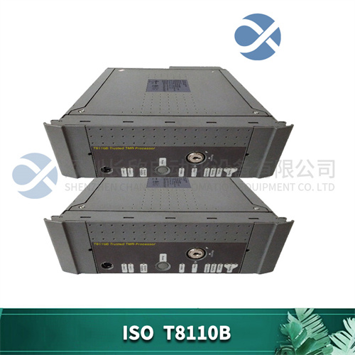 ICS TRIPLEX T8110B 模塊