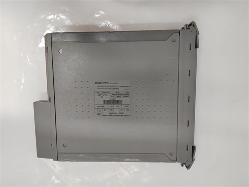 ICS TRIPLEX T8461 模塊