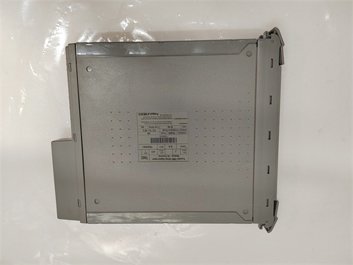 ICS TRIPLEX T8403 模塊