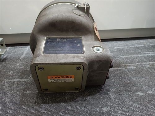 WOODWARD 9907-1200 模塊