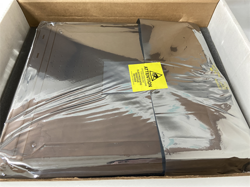 ICS TRIPLEX T8451 模塊