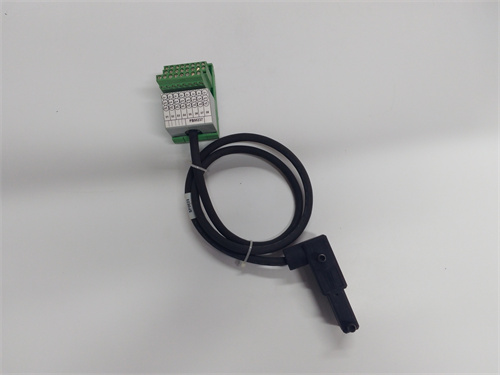 FOXBORO AD908CC 電纜