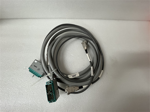 TRICONEX 4000103-510 電纜