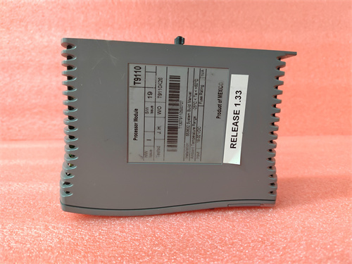 ICS TRIPLEX T9110 模塊