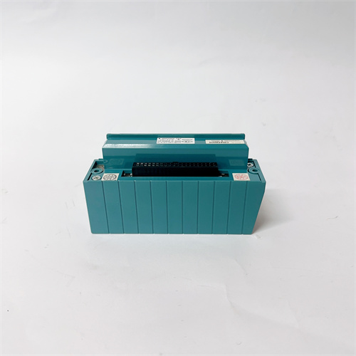 YOKOGAWA NFAI841-S00的端子