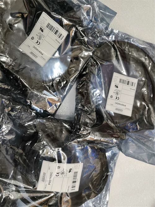 FOXBORO P0916DC 電纜