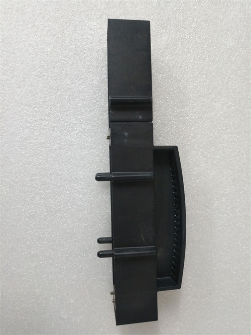 TRICONEX 2000418 模塊