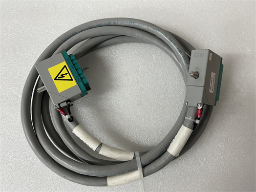 TRICONEX 4000093-110N 模塊