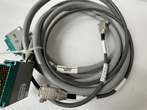 TRICONEX 4000103-510N 模塊