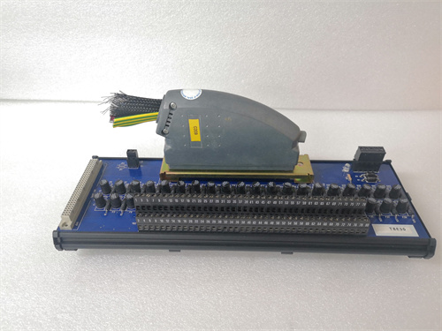 ROCKWELL T8830 模塊