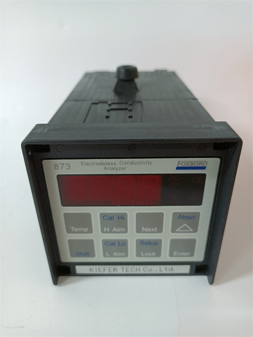 FOXBORO 873EC-JIPFGZ 模塊