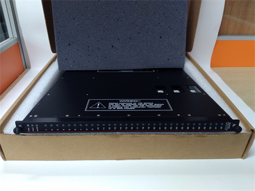 TRICONEX 3503E 模塊