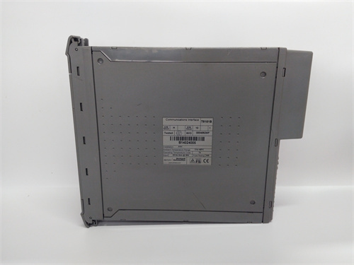 ICS TRIPLEX T8151B 模塊