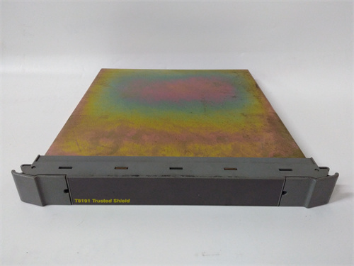 ICS TRIPLEX T8191 模塊