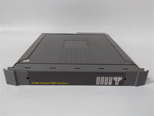 ICS TRIPLEX T8160 模塊