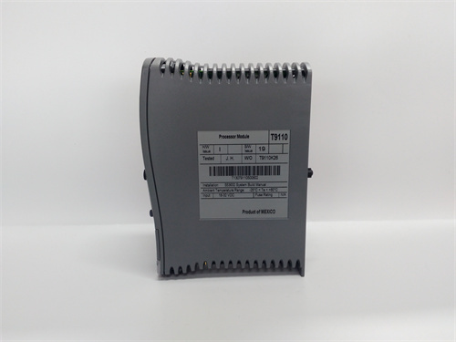 ICS TRIPLEX T9110 模塊