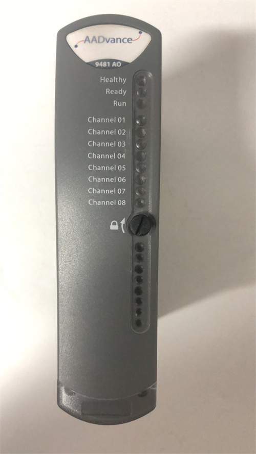 ICS TRIPLEX T9481 模塊