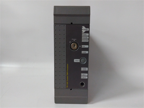 ICS TRIPLEX T8110B 模塊