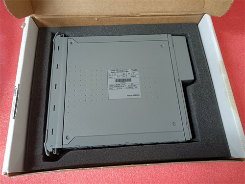 ICS TRIPLEX T8480C 模塊