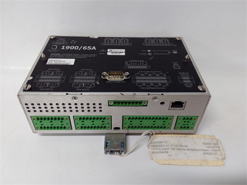 BENTLY 1900/65A-01-01-01-00-00 模塊