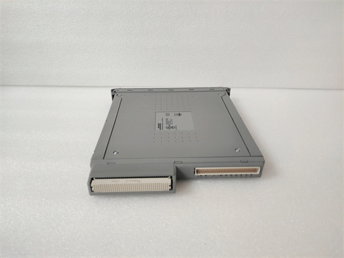 ICS TRIPLEX T8431 模塊