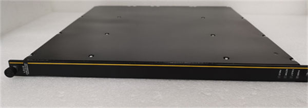 TRICONEX&nbsp;3607E 3.jpg