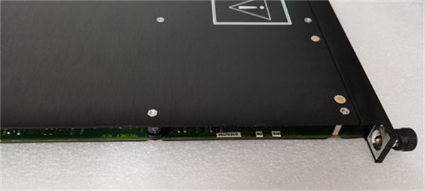 TRICONEX&nbsp;3607E 2.jpg