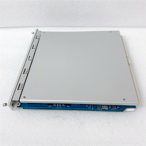 350022M 288055-01 (3).JPG