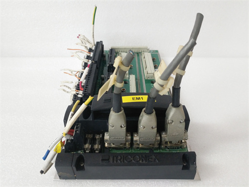 TRICONEX 2381 (2).jpg