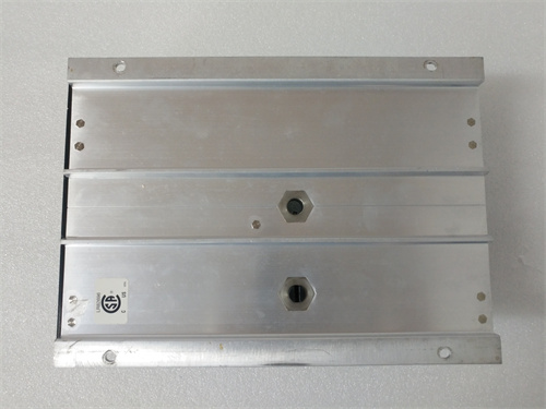 TRICONEX 2481 (3).jpg